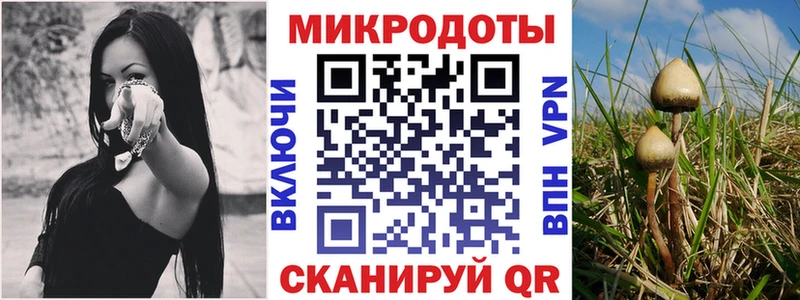 цена наркотик  omg зеркало  Галлюциногенные грибы Magic Shrooms  Минеральные Воды 