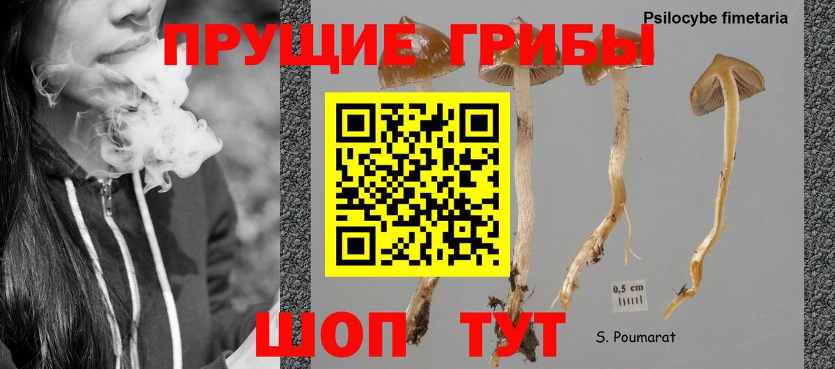 Галлюциногенные грибы Psilocybine cubensis  Галлюциногенные грибы ЛСД  Минеральные Воды  Вход с VPN 