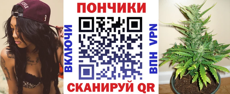 как найти закладки  Минеральные Воды  Шишки марихуана семена 